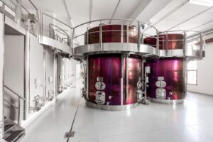 Bologna: Olive Grove and Vineyard Tour with Product Tastings - Olive Oil and Wine Tastings That Teach Your Tongue