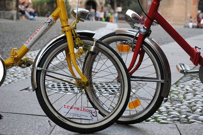 Bologna Panoramic Bike Tour - Biking Through Bologna: What the Streets Feel Like