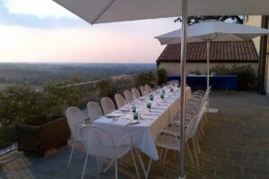 Bologna Wine Tasting & Winery Tour in the Colli Bolognesi - Where the Tour Starts in Zola Predosa (and Why Logistics Matter)