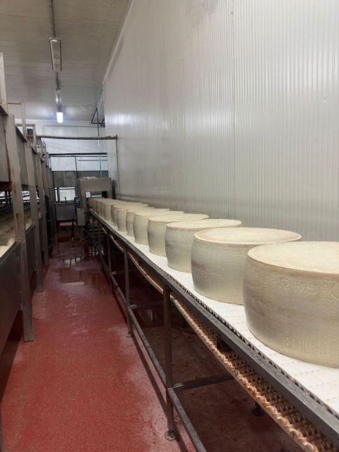 Bologna:Ferrari, Parmigiano, Balsamic Day Trip w/Light Lunch - What to Bring (and What to Skip)