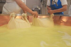 From Bologna: Emilia Excellence Food Tour - Parmigiano Reggiano at the dairy factory: more than just cheese tasting