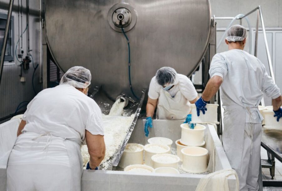From Bologna: Parma Cheese & Ham Factory Tours and Tastings - Meeting outside Parma station and the minibus transfer