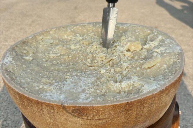 From Bologna: Parmesan Cheese & Balsamic Vinegar Tour+Lunch - Key things I’d focus on before you go