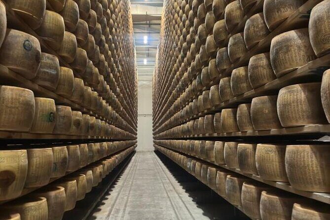 From Bologna: Parmesan Cheese & Balsamic Vinegar Tour+Lunch - Why This Bologna Cheese and Balsamic Tour Feels Worth Your Time