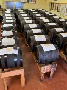 From Bologna: Parmesan Cheese & Balsamic Vinegar Tour+Lunch - Getting From Bologna: Pickup, Van Time, and a Day That Doesn’t Drag