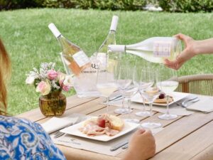 Luxury Wine Tasting with Food Pairing near Bologna - Barrel room tour: where wine aging becomes real
