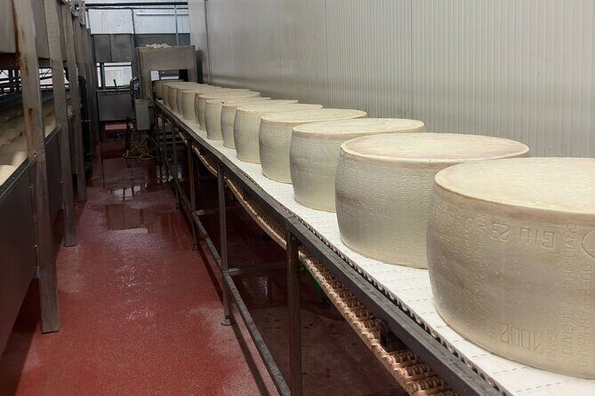 Parmesan and Balsamic Food Tour with Ferrari Museum - The stop for local snacks: a shorter break that still matters