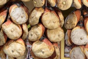 Private Tour Parmigiano,Prosciutto,Balsamico with driver-Bologna - Pickup and the 8:30am start (what to expect)